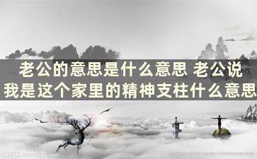 老公的意思是什么意思 老公说我是这个家里的精神支柱什么意思